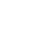 YSI